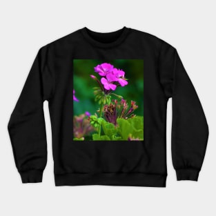 Geranium Crewneck Sweatshirt